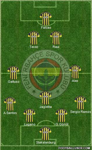 Fenerbahçe SK Formation 2011