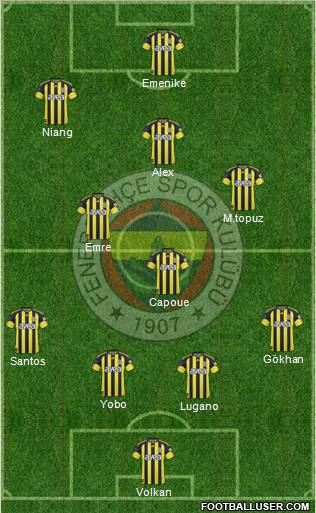 Fenerbahçe SK Formation 2011