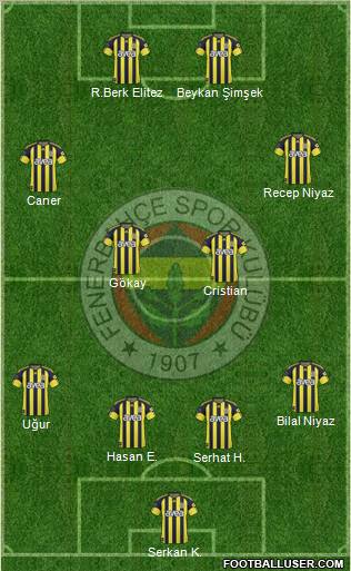 Fenerbahçe SK Formation 2011