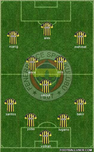 Fenerbahçe SK Formation 2011