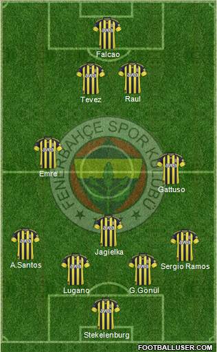 Fenerbahçe SK Formation 2011