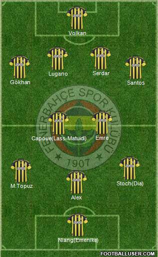 Fenerbahçe SK Formation 2011