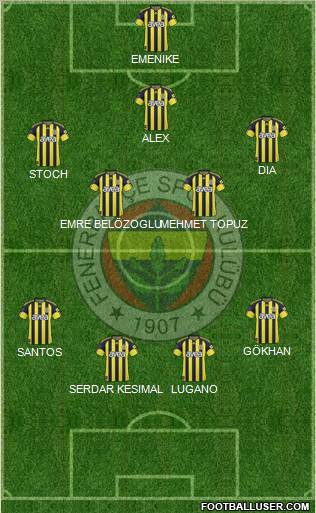 Fenerbahçe SK Formation 2011