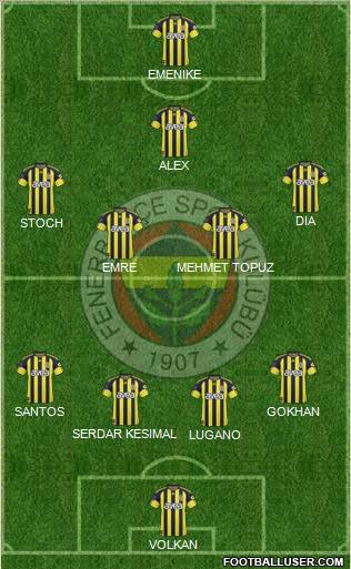 Fenerbahçe SK Formation 2011