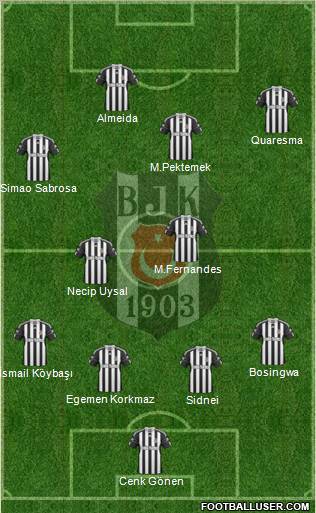 Besiktas JK Formation 2011