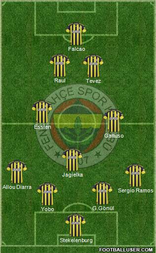 Fenerbahçe SK Formation 2011