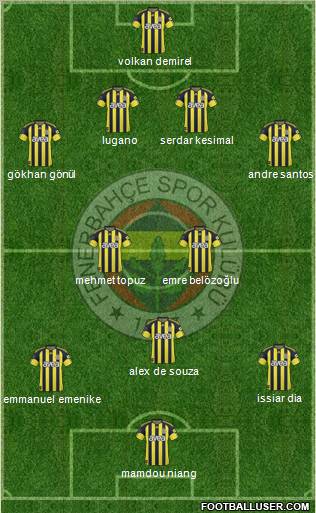 Fenerbahçe SK Formation 2011