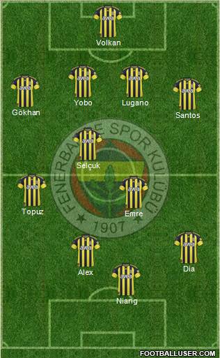 Fenerbahçe SK Formation 2011