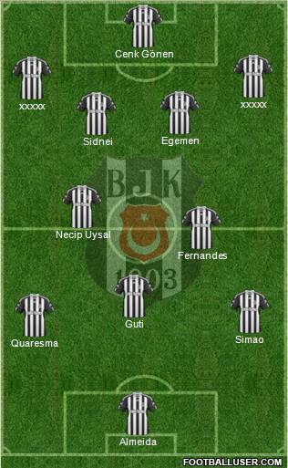 Besiktas JK Formation 2011