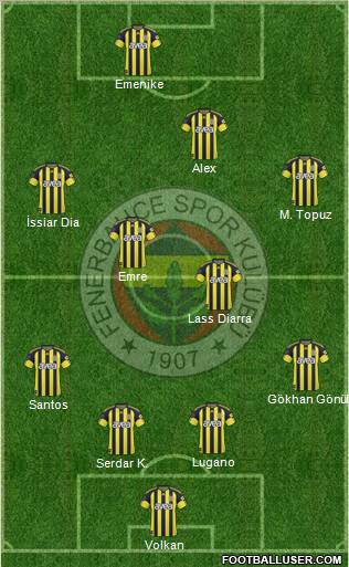 Fenerbahçe SK Formation 2011