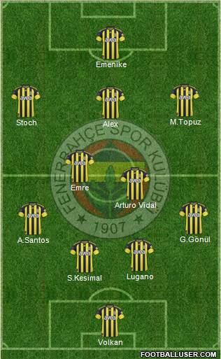 Fenerbahçe SK Formation 2011