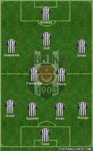 Besiktas JK Formation 2011