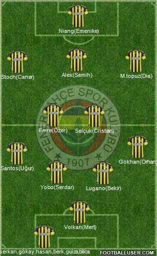 Fenerbahçe SK Formation 2011