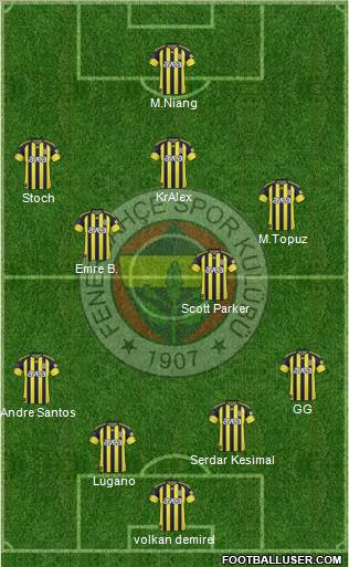 Fenerbahçe SK Formation 2011