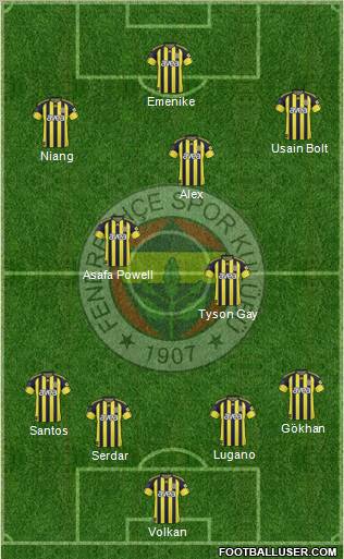 Fenerbahçe SK Formation 2011