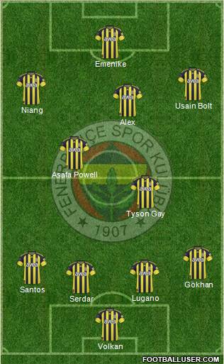 Fenerbahçe SK Formation 2011