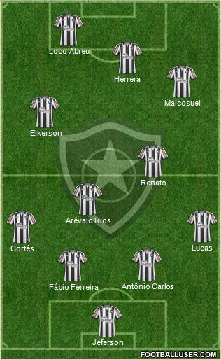 Botafogo FR Formation 2011