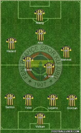 Fenerbahçe SK Formation 2011