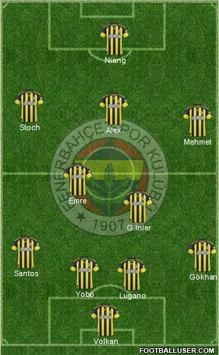 Fenerbahçe SK Formation 2011