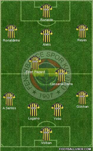 Fenerbahçe SK Formation 2011