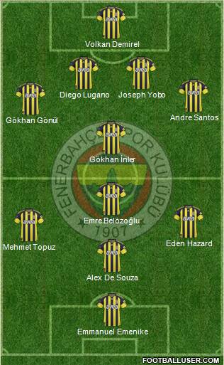 Fenerbahçe SK Formation 2011