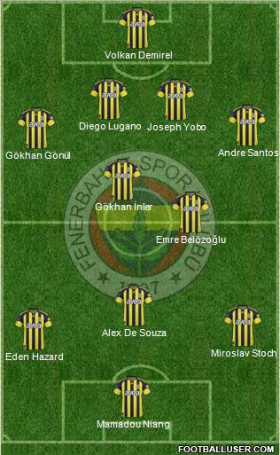 Fenerbahçe SK Formation 2011