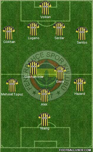 Fenerbahçe SK Formation 2011