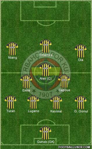 Fenerbahçe SK Formation 2011