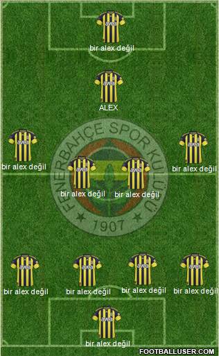 Fenerbahçe SK Formation 2011