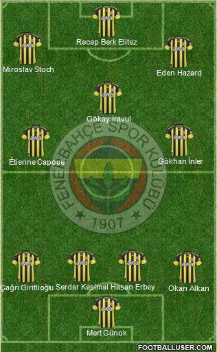 Fenerbahçe SK Formation 2011
