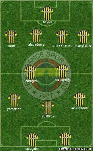 Fenerbahçe SK Formation 2011