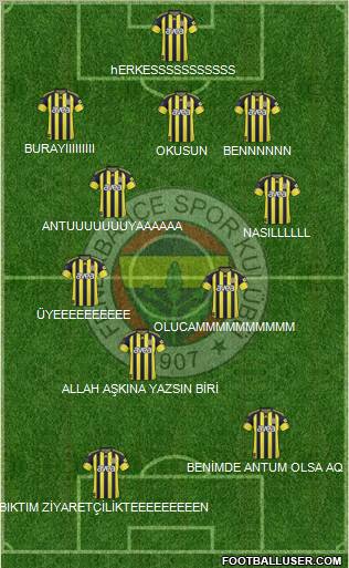 Fenerbahçe SK Formation 2011