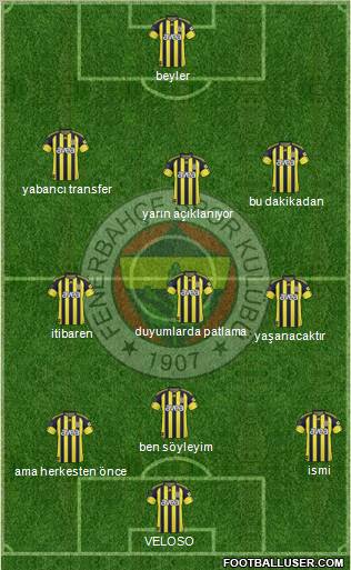 Fenerbahçe SK Formation 2011