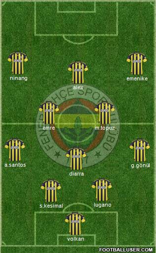 Fenerbahçe SK Formation 2011