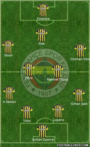 Fenerbahçe SK Formation 2011