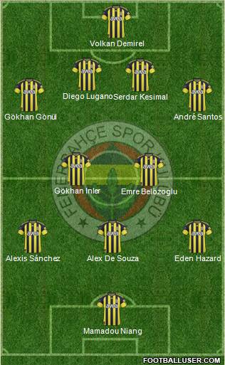 Fenerbahçe SK Formation 2011