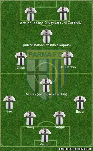 Parma Formation 2011