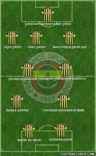 Fenerbahçe SK Formation 2011
