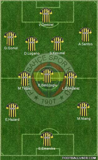 Fenerbahçe SK Formation 2011
