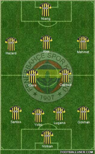 Fenerbahçe SK Formation 2011