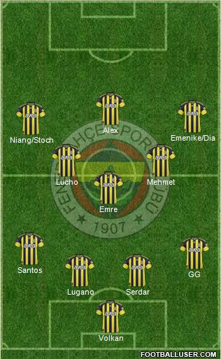 Fenerbahçe SK Formation 2011