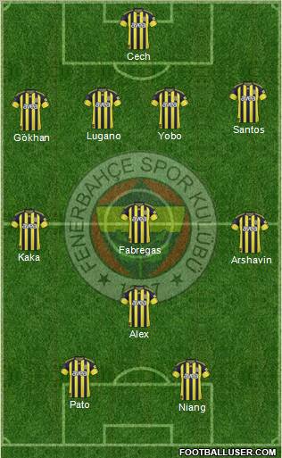 Fenerbahçe SK Formation 2011