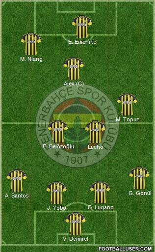 Fenerbahçe SK Formation 2011