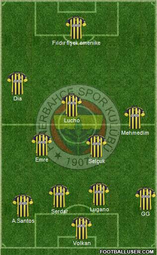 Fenerbahçe SK Formation 2011