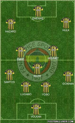 Fenerbahçe SK Formation 2011