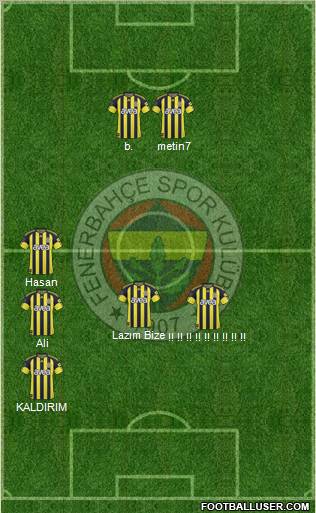 Fenerbahçe SK Formation 2011