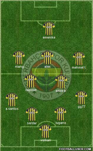 Fenerbahçe SK Formation 2011