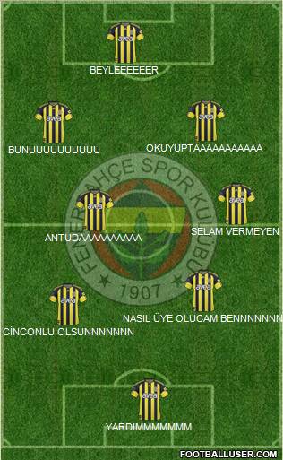 Fenerbahçe SK Formation 2011