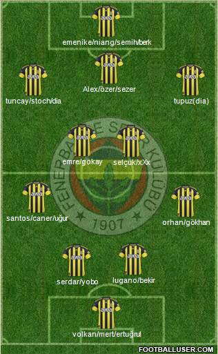 Fenerbahçe SK Formation 2011