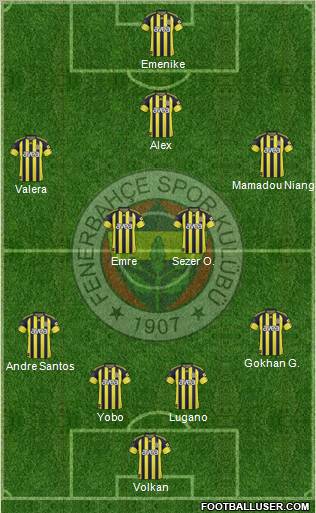 Fenerbahçe SK Formation 2011